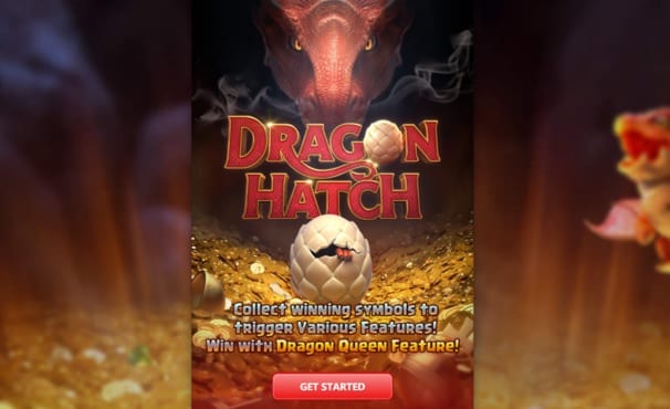 dragon hatch